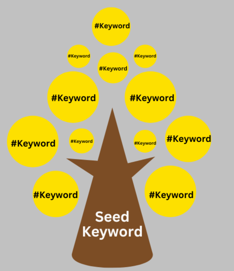 Phân biệt seed keyword với các loại từ khóa khác